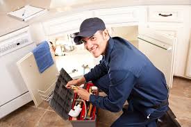 Best Drain Cleaning and Unclogging  in Paynesville, MN